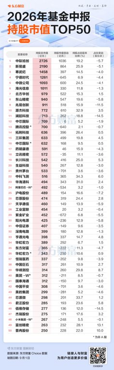 基金完整持仓揭晓 四只“隐形重仓股”现身